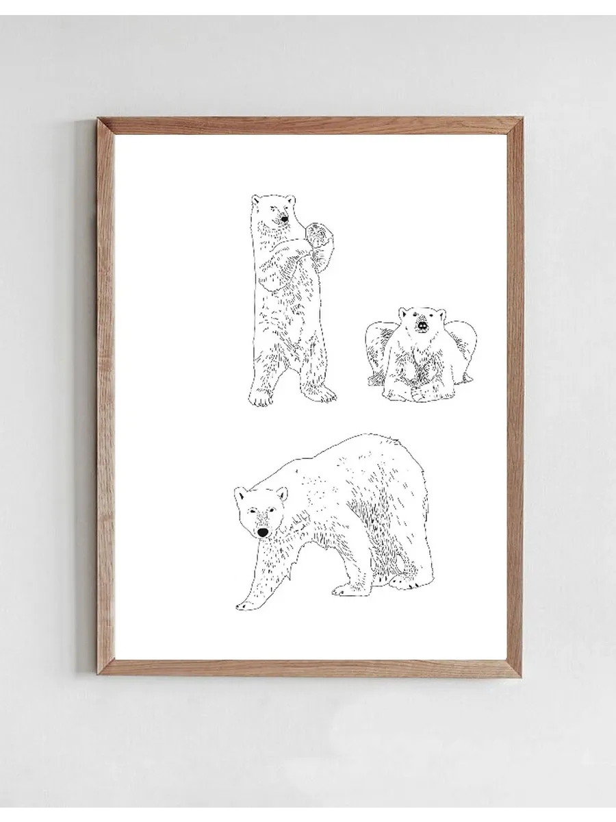 Snow Bears