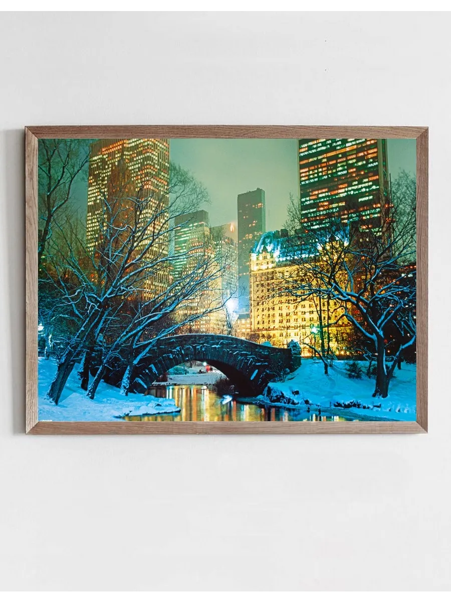 Snow in Central Park
