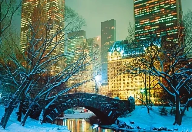 Snow in Central Park