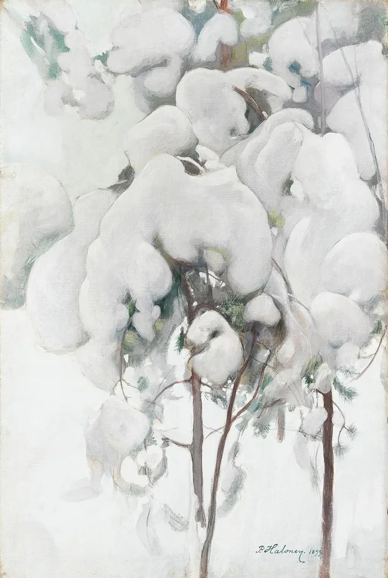 Snow - Covered Pine Saplings