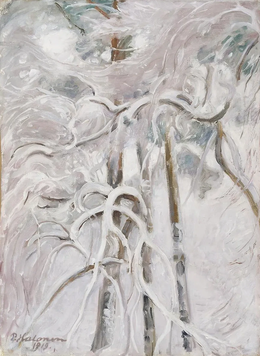 Snow - decked Pine