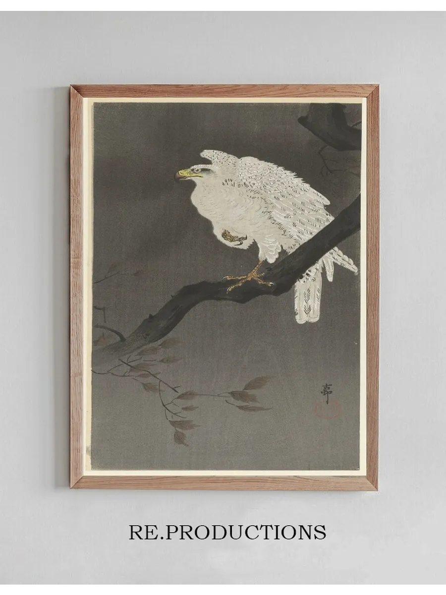 Snowy Eagle on a Tree Branch