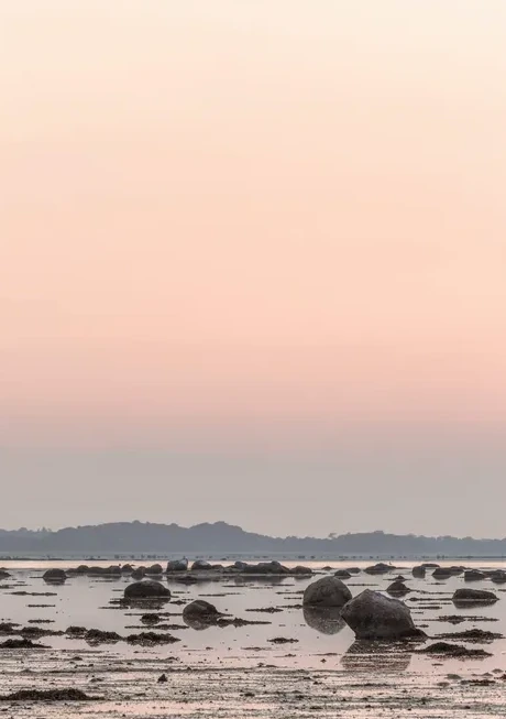 Solnedgang