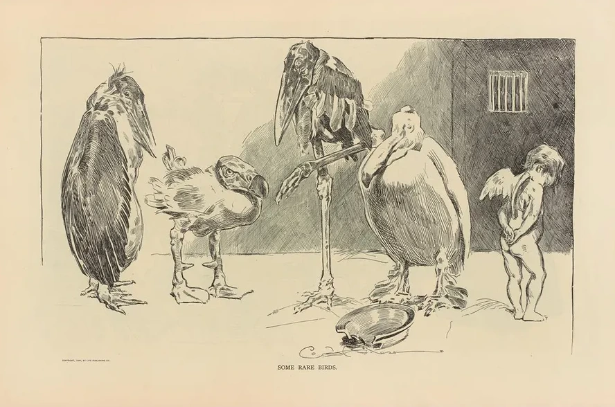 Some Rare Birds