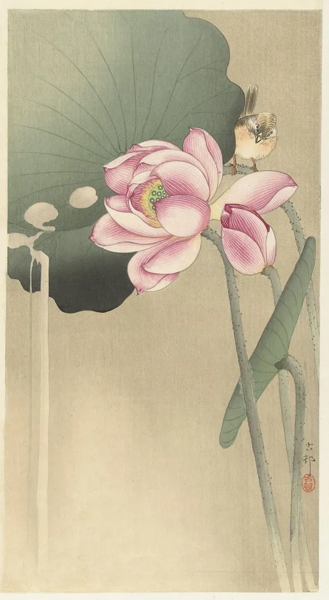 Songbird and Lotus
