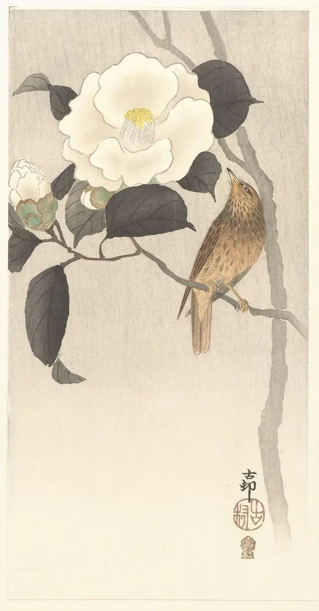 Songbird and Flowering Camellia