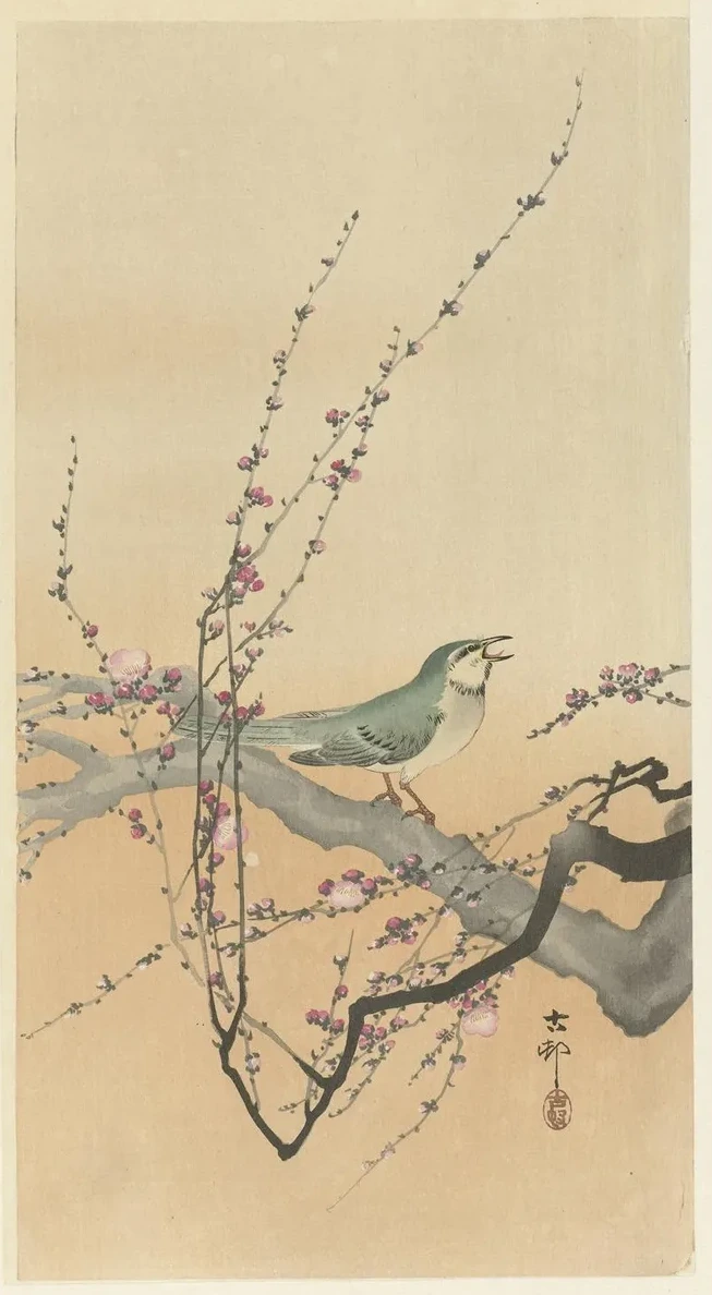Songbird and Plum Blossom