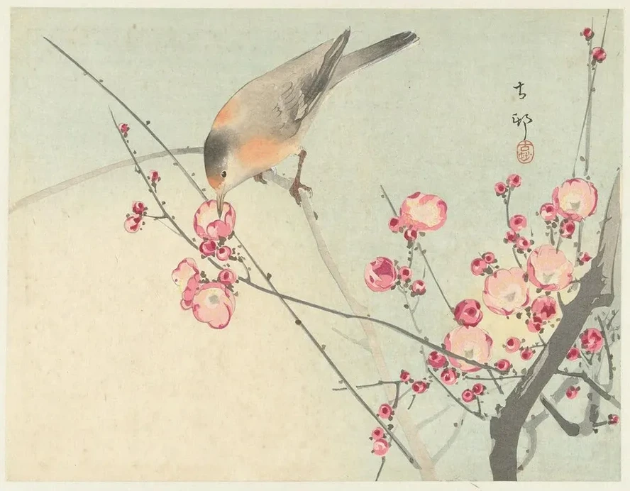 Songbird on Blossom Branch