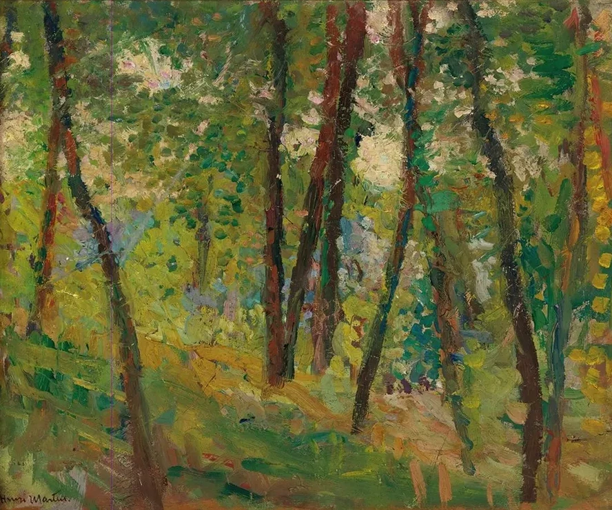 Sous - Bois