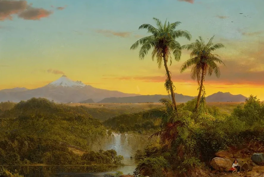 South American Landscape