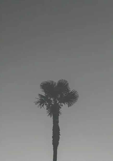 South