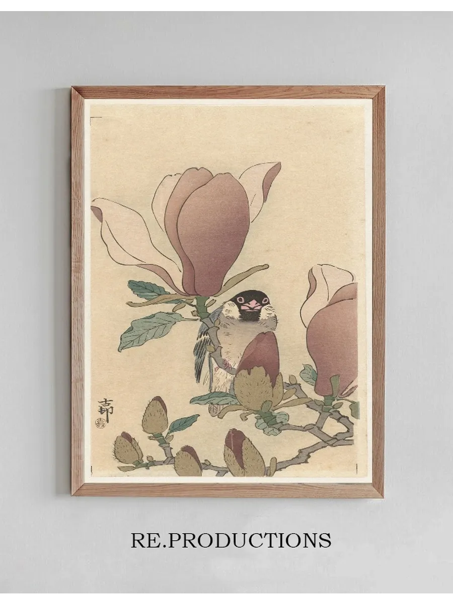 Sparrow on Blooming Magnolia Branch