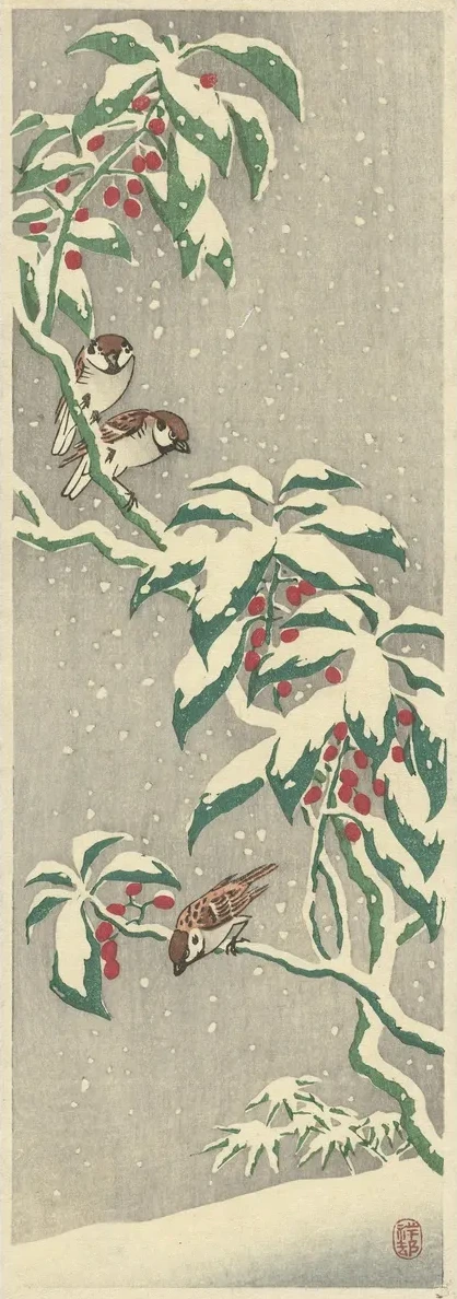 Sparrows on Snowy Currant Bush