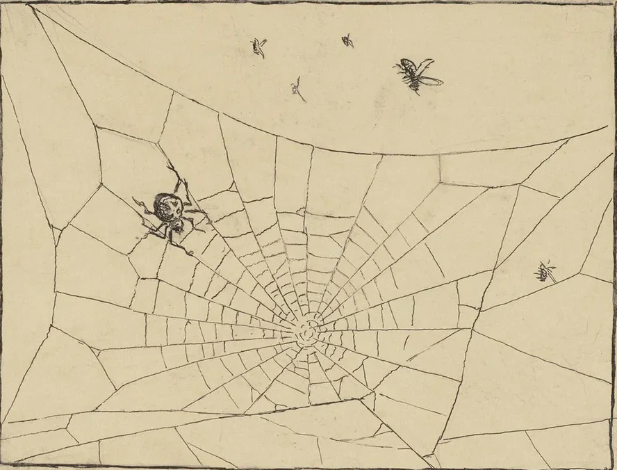 Spinne
