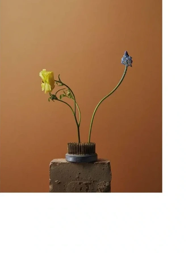 Spring Flowers