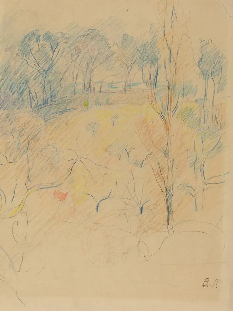 Spring Landscape