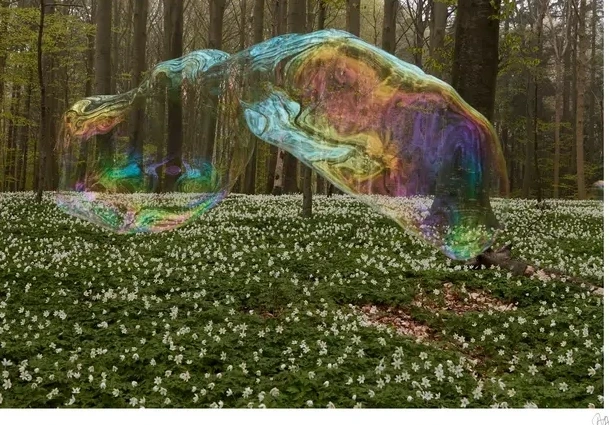 Spring in a Bubble