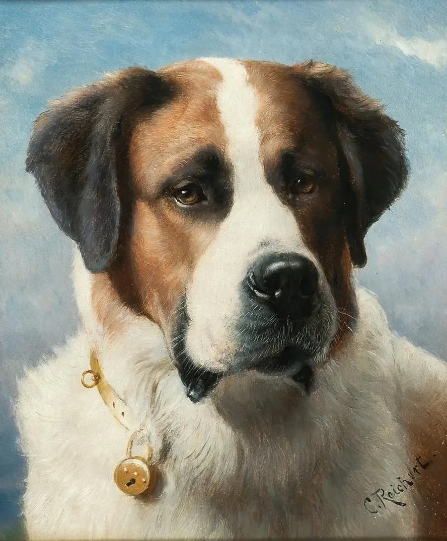 St Bernard