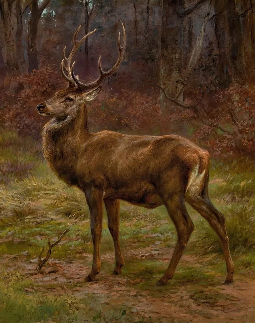 Stag In An Autumn Landscape