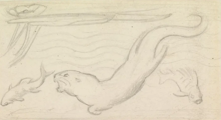 Stained Glass Study, An Otter and Two Fish