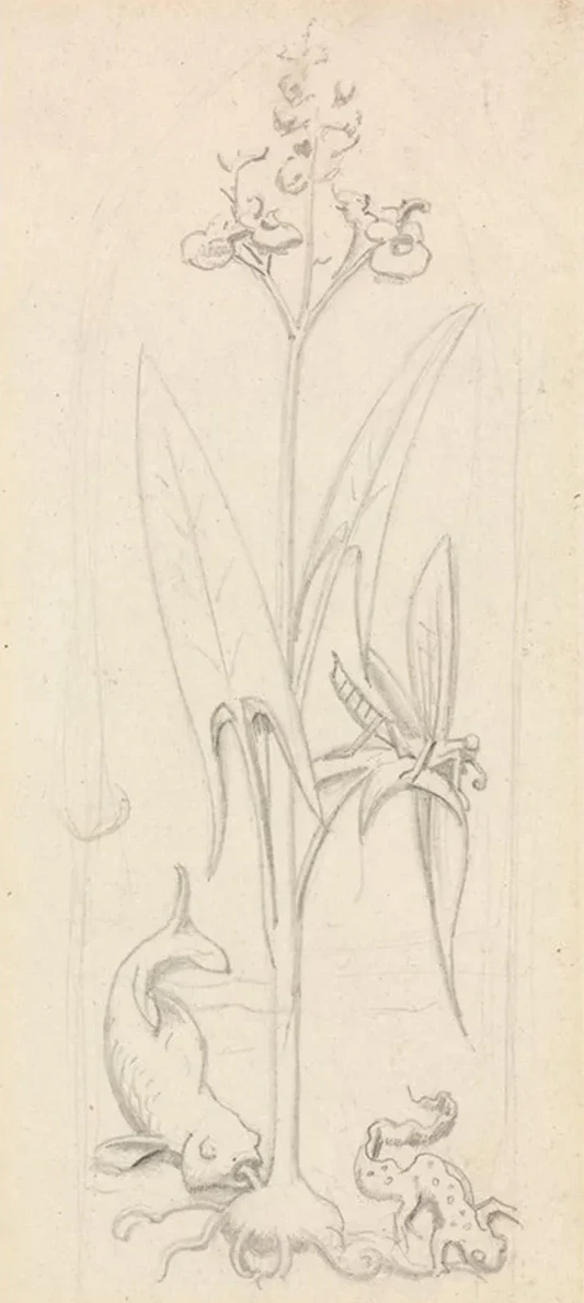 Stained Glass Study, Water Plant with Grasshoper, Fish and Newt