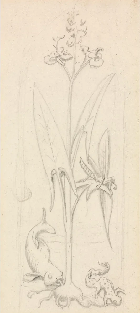 Stained Glass Study, Water Plant with Grasshoper, Fish and Newt