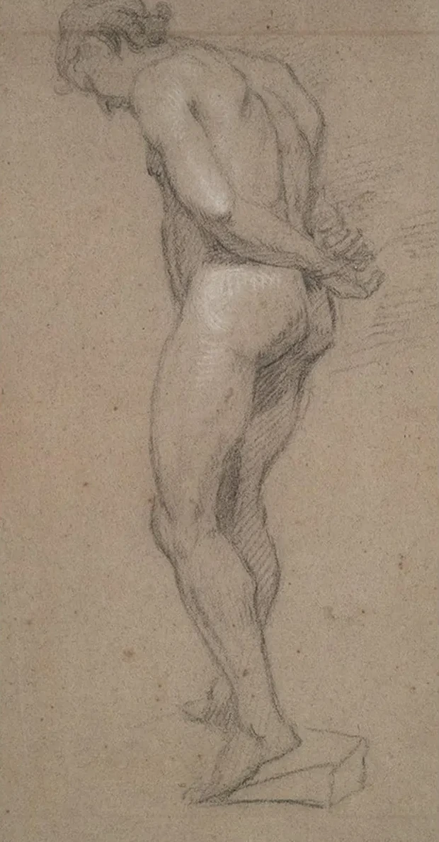 Standing MaleNude