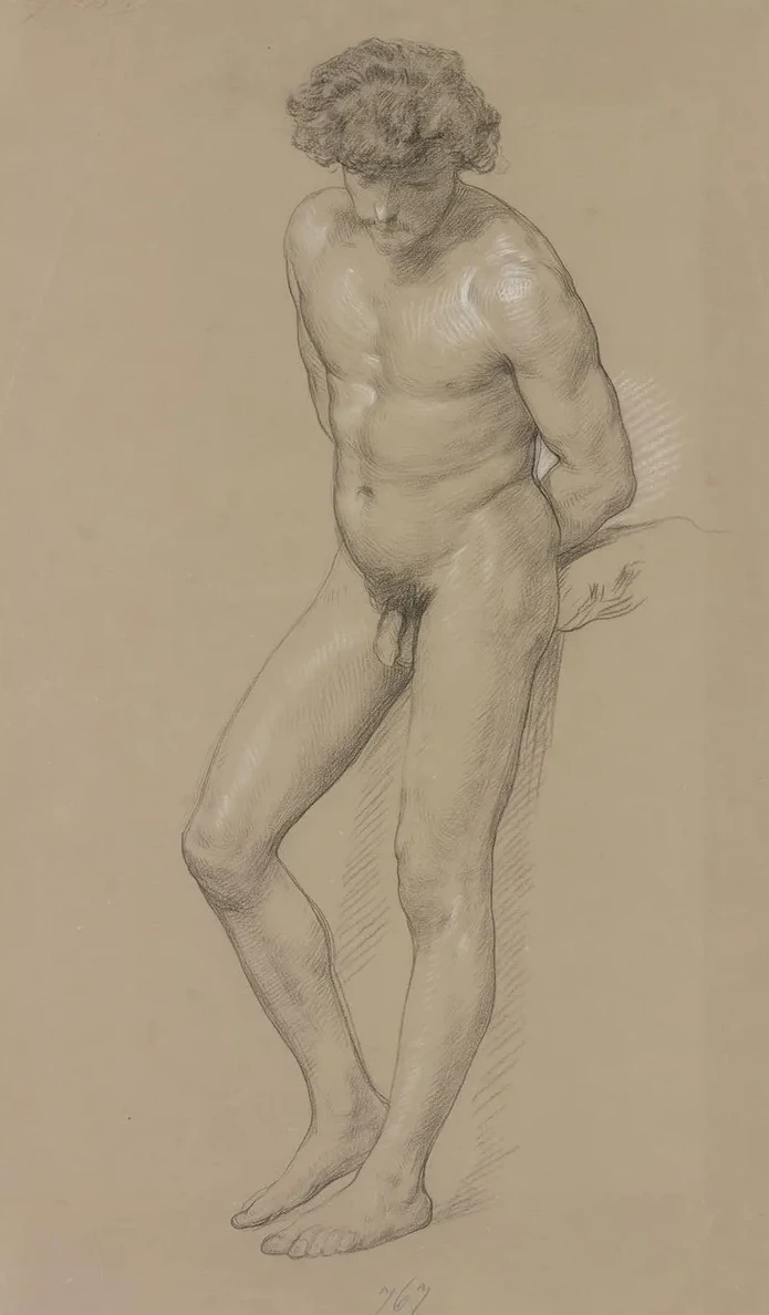 Standing Male Nude