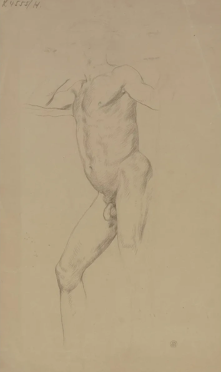 Standing Male Nude