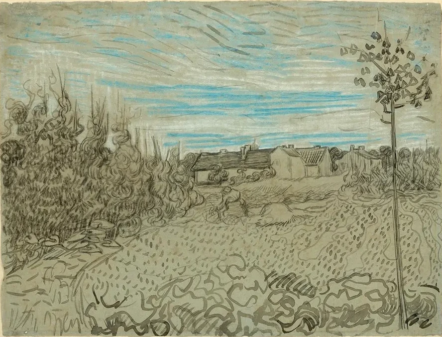 Still Life (Composition V)