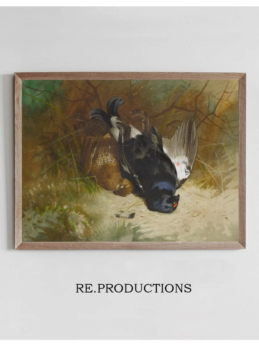 Still Life Of A Pair Of Blackgame