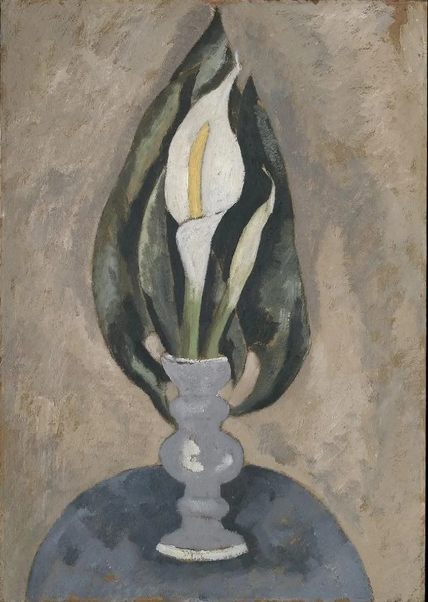 Still Life