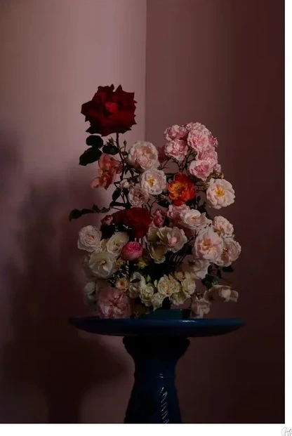 Stop and Smell the Roses