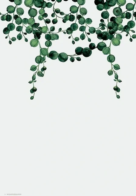 String Of Pearls