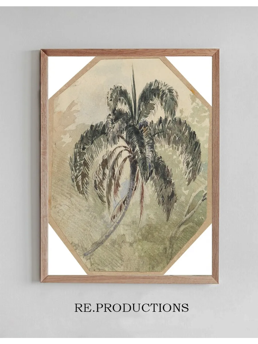 Studie Einer Palme in Urwald