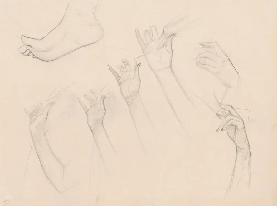 Studies for Fumee d Ambre Gris