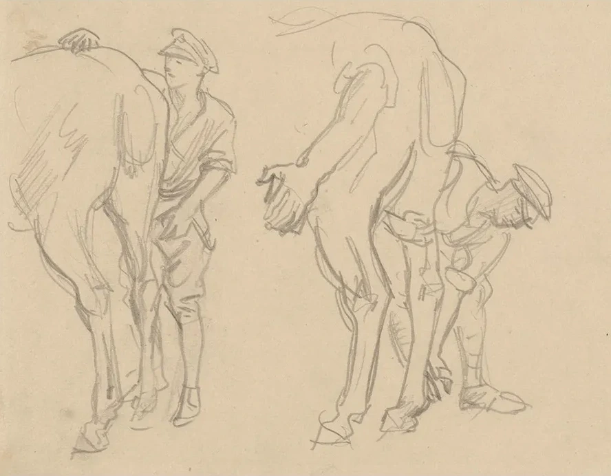 Studies for Scots Grey
