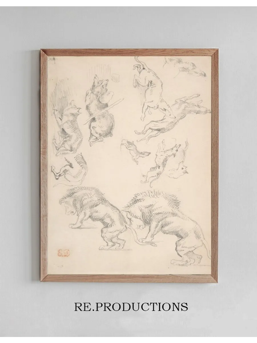 Studies of Animals