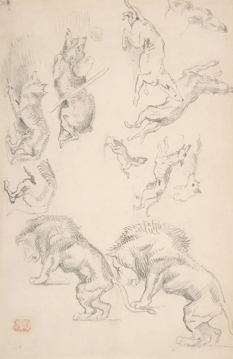 Studies of Animals