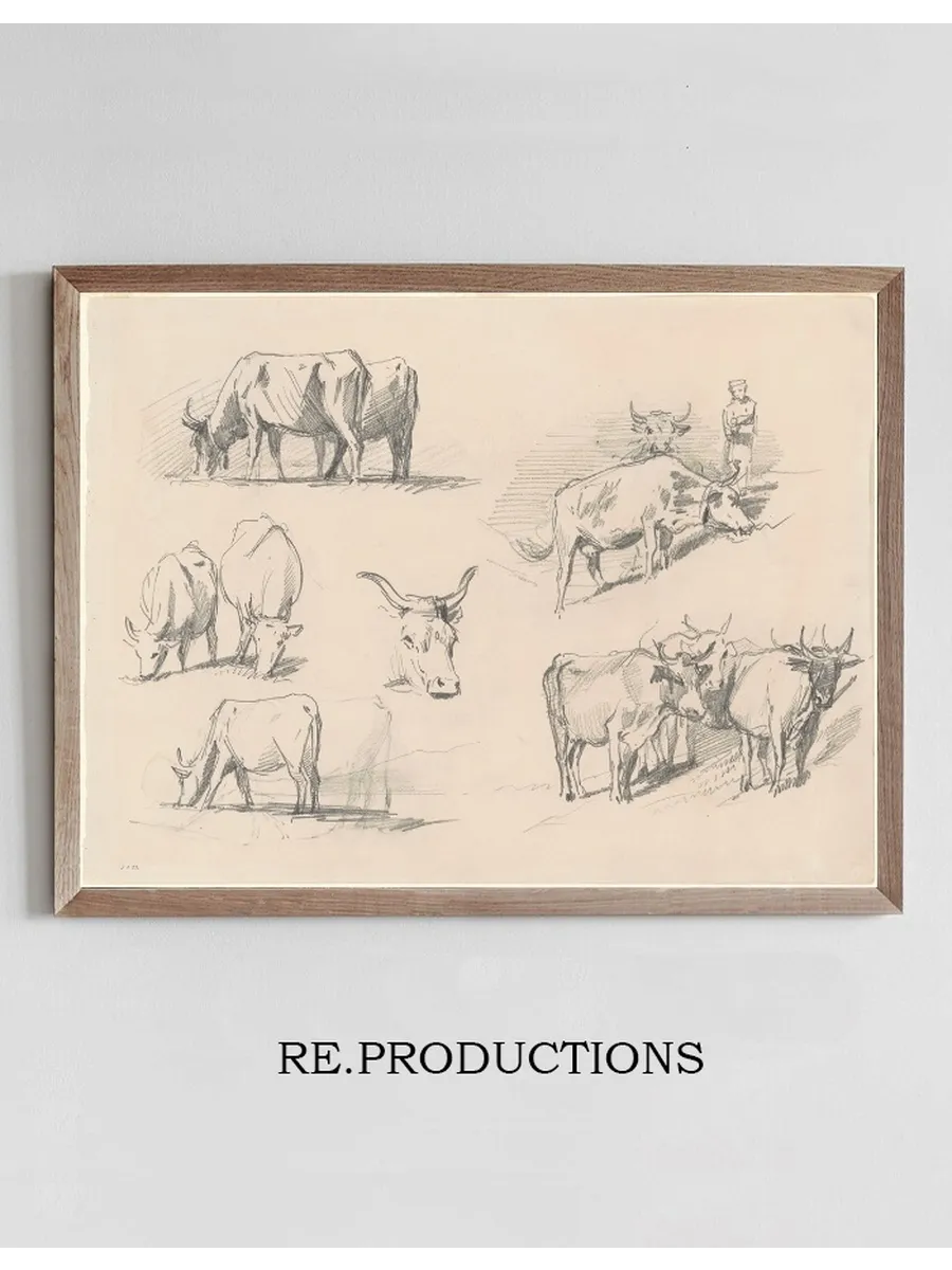 Studies of Cattle