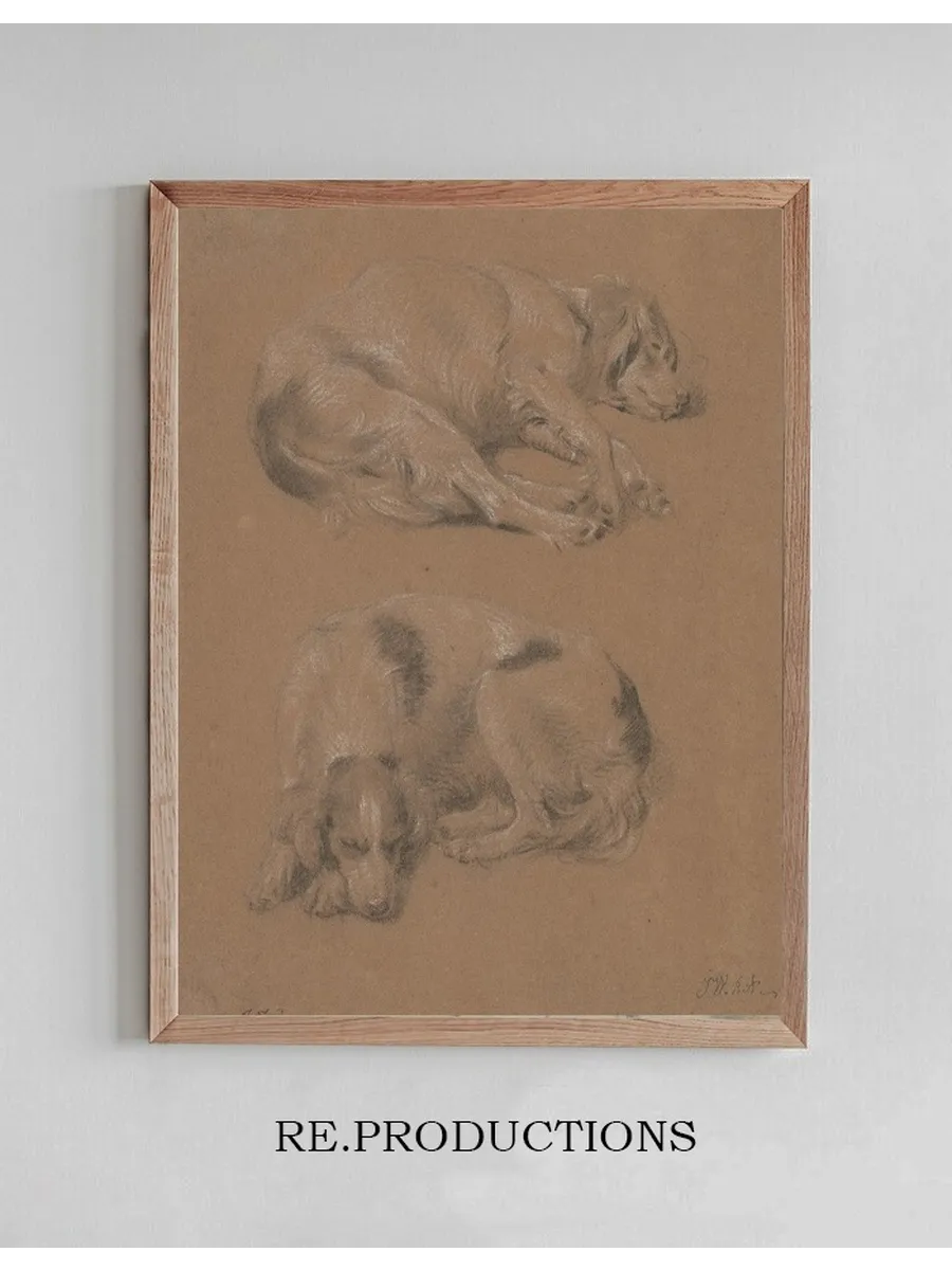 Studies of Dogs Lying Down