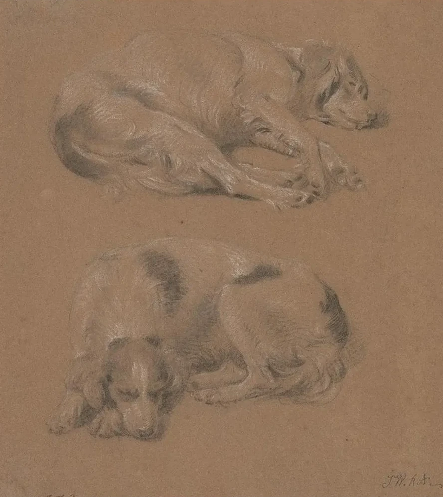 Studies of Dogs Lying Down