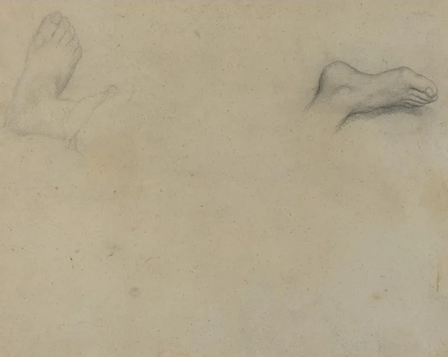 Studies of Feet