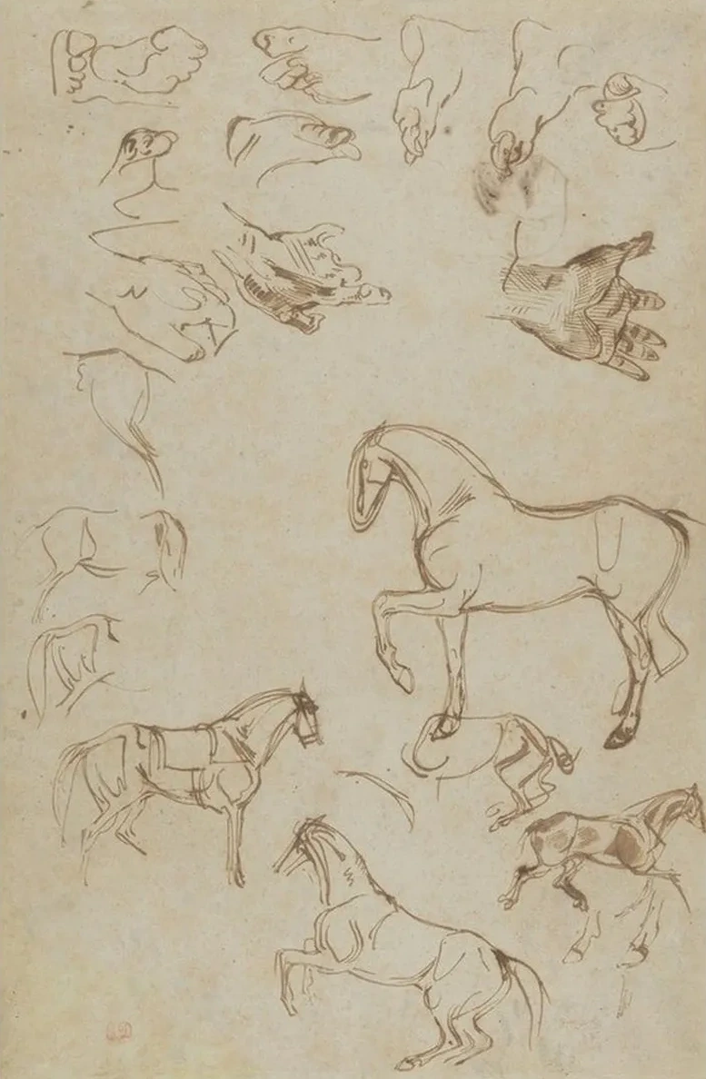 Studies of Horses, Hands, and Feet