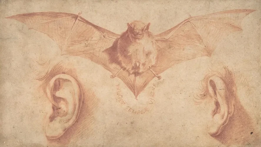 Studies of Two Ears and of a Bat