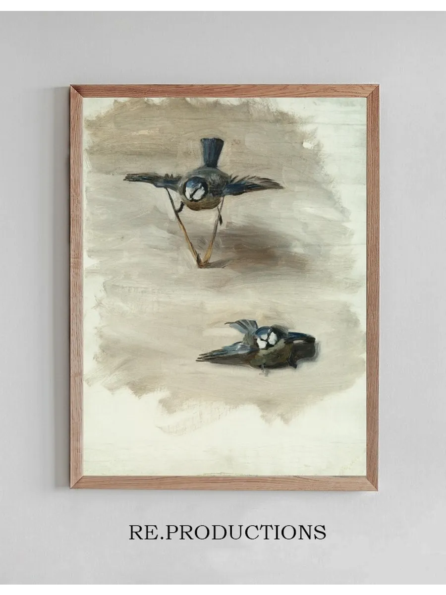 Studies of a Dead Bird