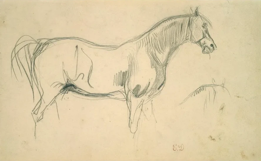 Studies of a Horse in Profile