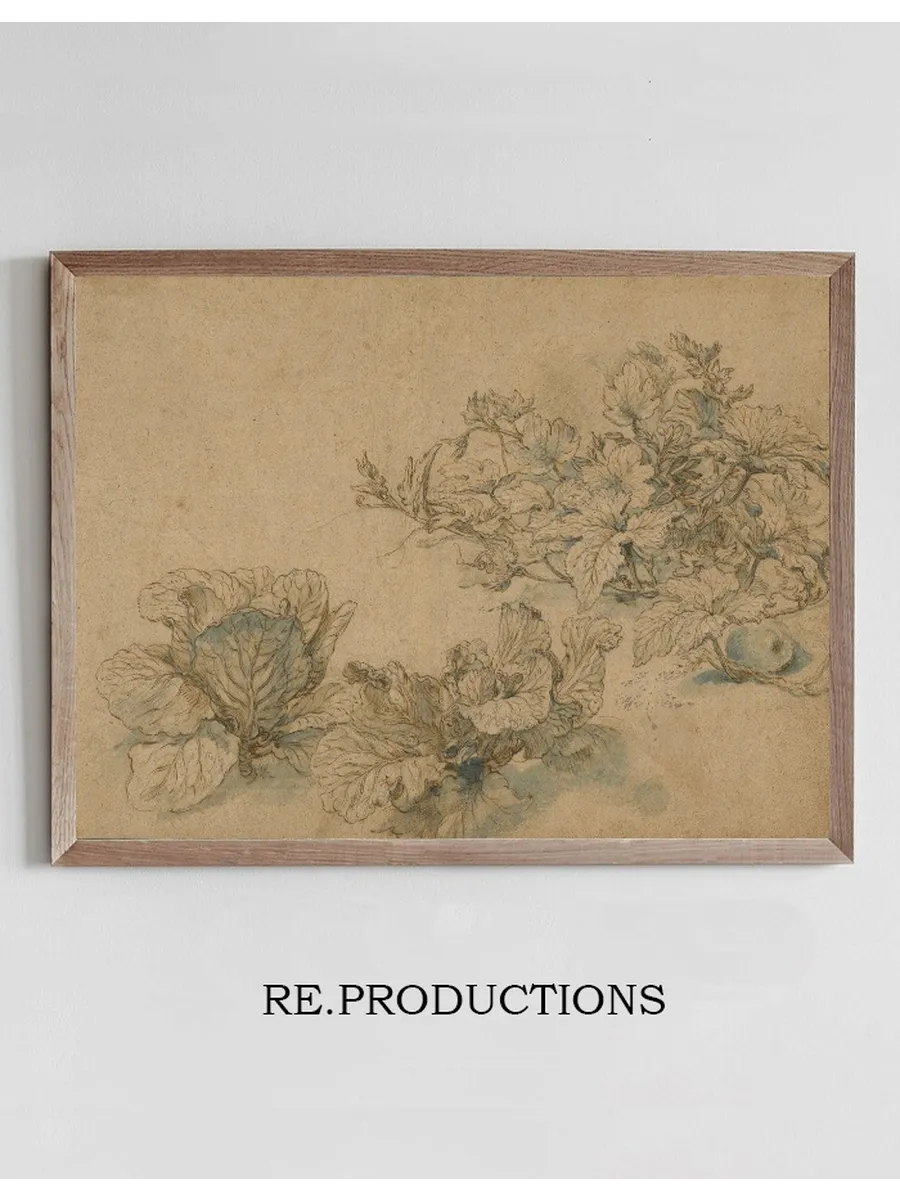 Studies of a Marrow Plant and Cabbages