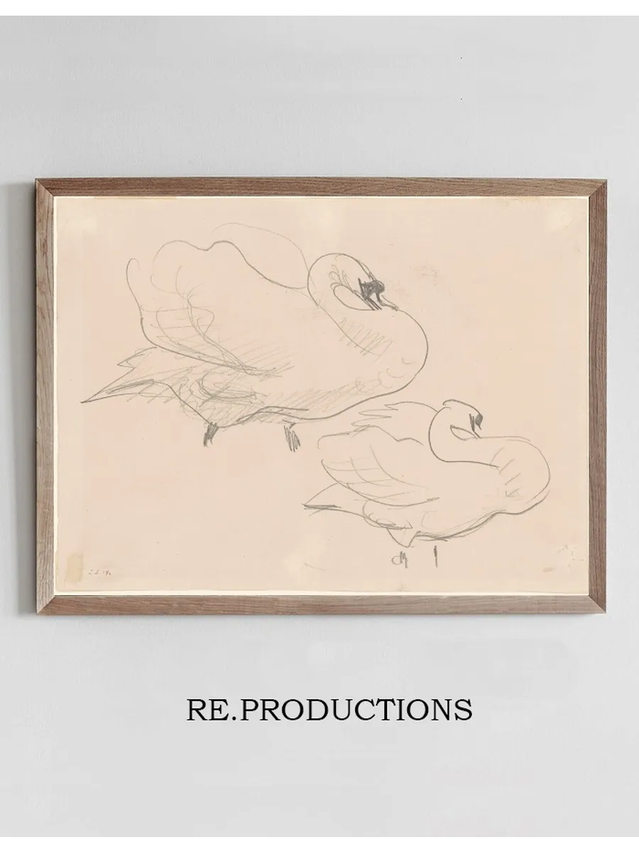Studies of a Swan