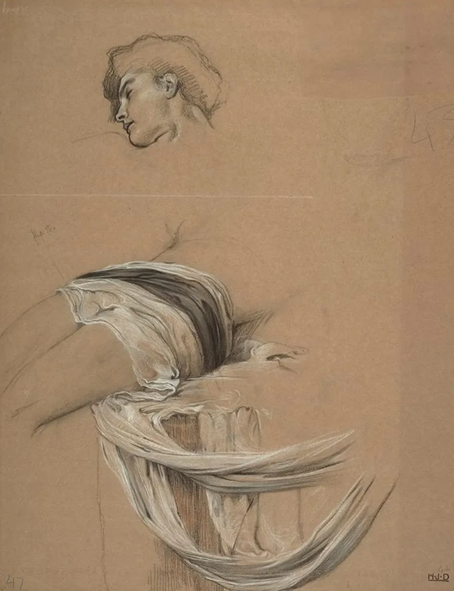 Studies of a Man's Draped Waist, and Head